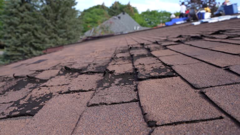 Best Roof Moss and Algae Removal  in Ringgold, GA