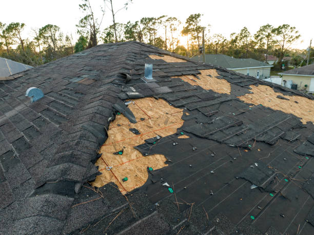 Best 4 Ply Roofing  in Ringgold, GA